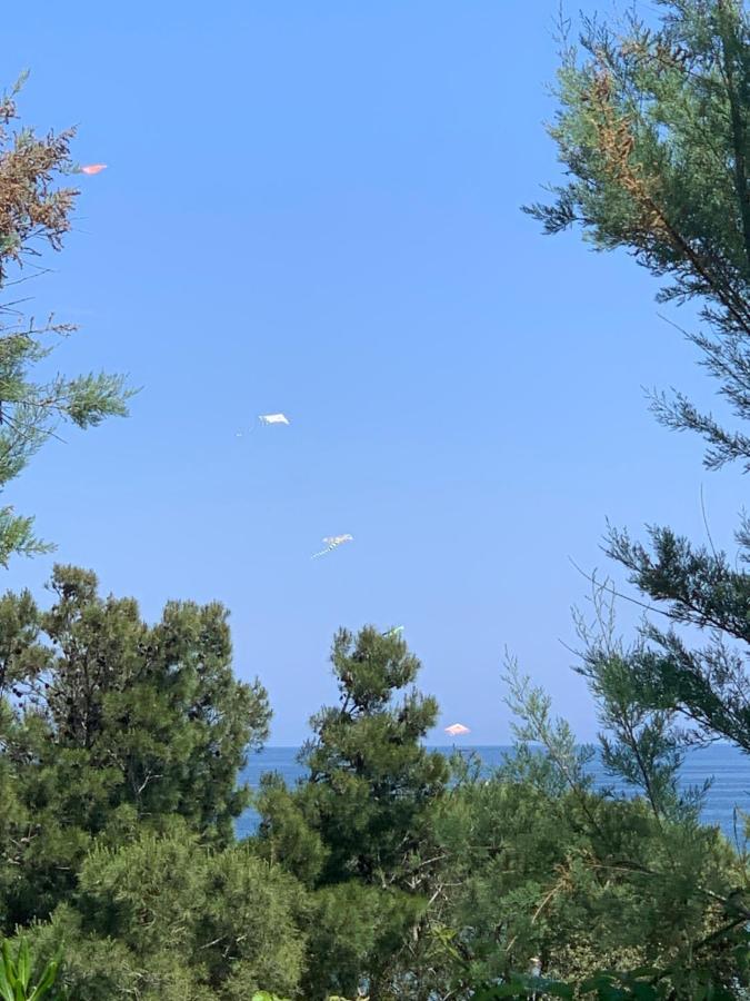 La Collinetta Sul Mare