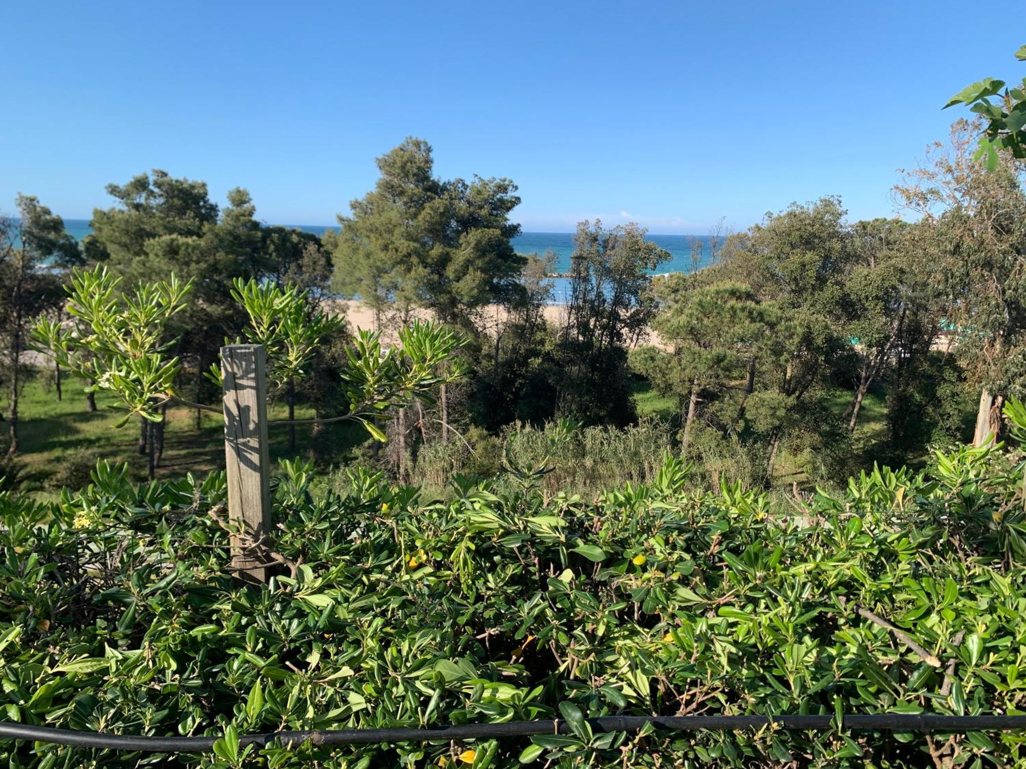 Holiday home La Collinetta Sul Mare
